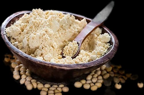 Fermented Soy